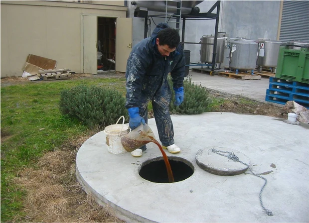 Bacteria Improve Septic Tank